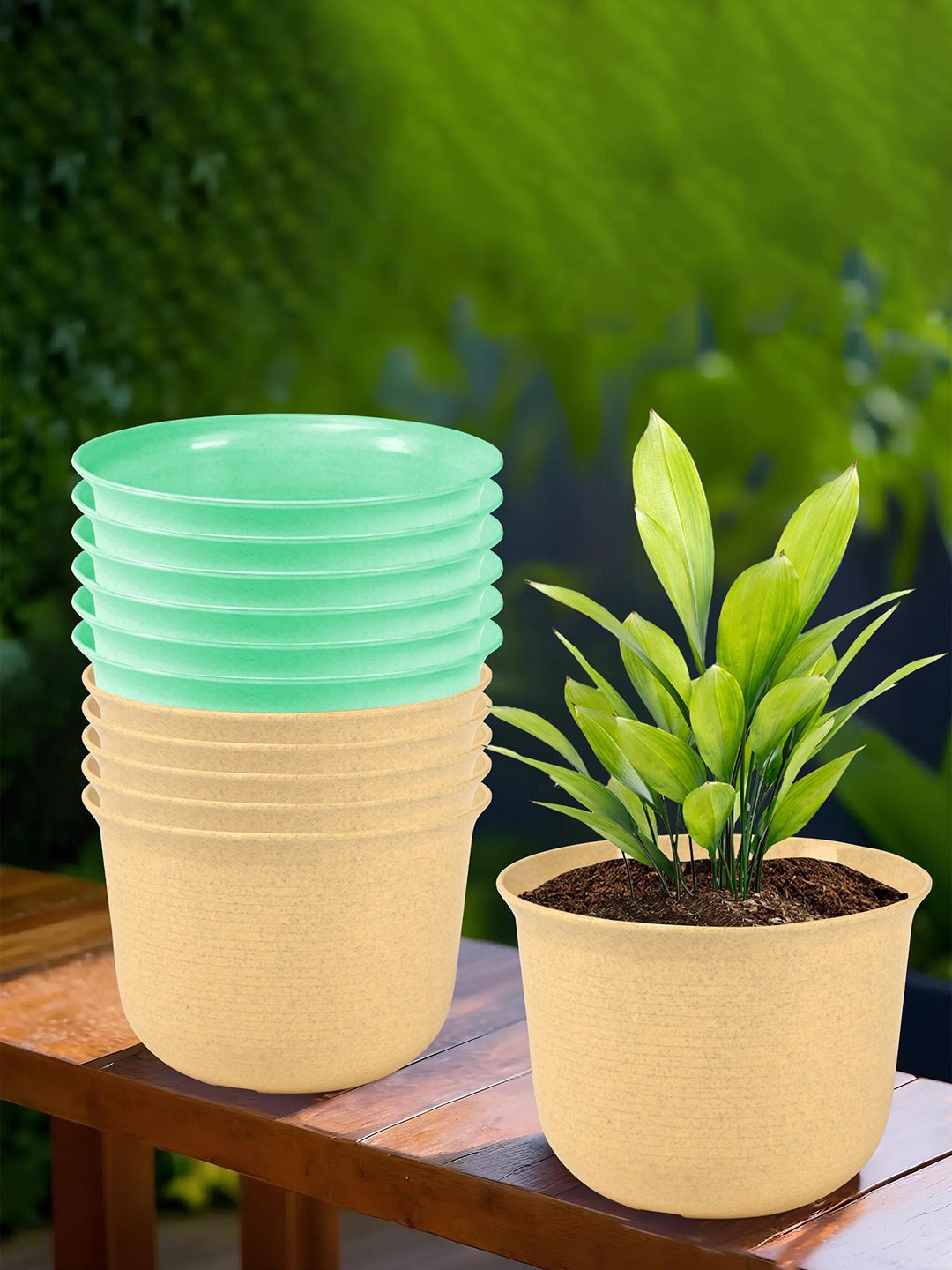 

Kuber Industries Beige & Green 12 Pieces Textured Planters With Plate