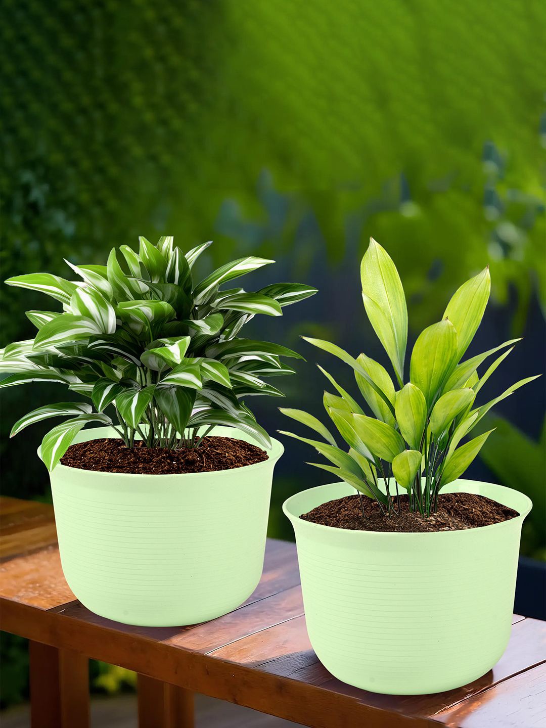 

Kuber Industries Green 2 Pieces Textured Planters With Plates