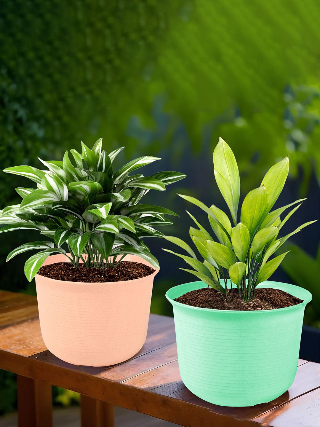

Kuber Industries Green & Peach Colored 2 Pieces Planters With Plate