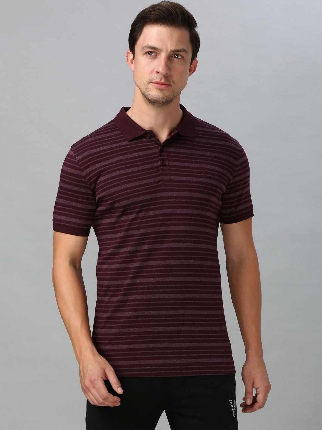 

Van Heusen Men Striped Polo Collar Pure Cotton T-shirt, Purple