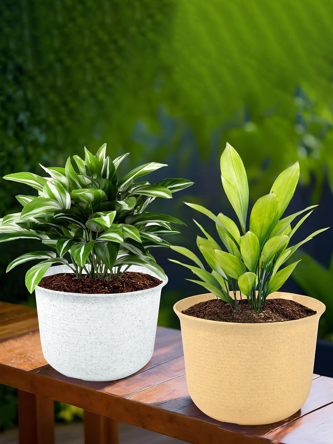

Kuber Industries White & Beige 2 Pieces Textured Planters With Plates