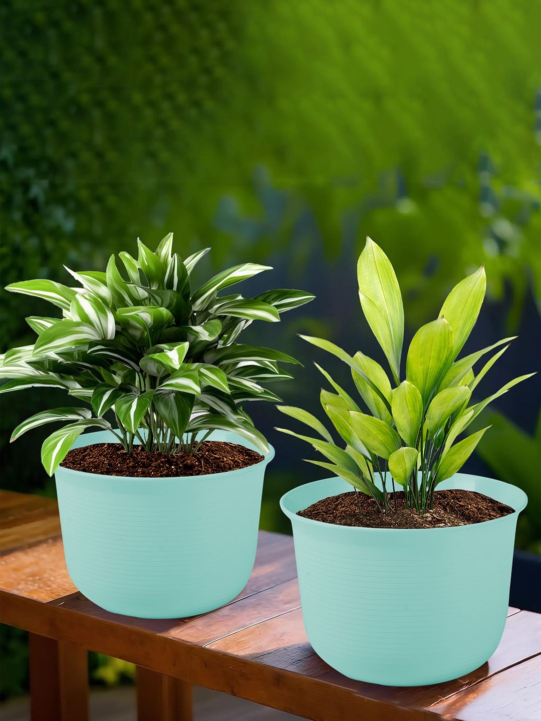 

Kuber Industries Blue 2 Pieces Textured Planters With Plate