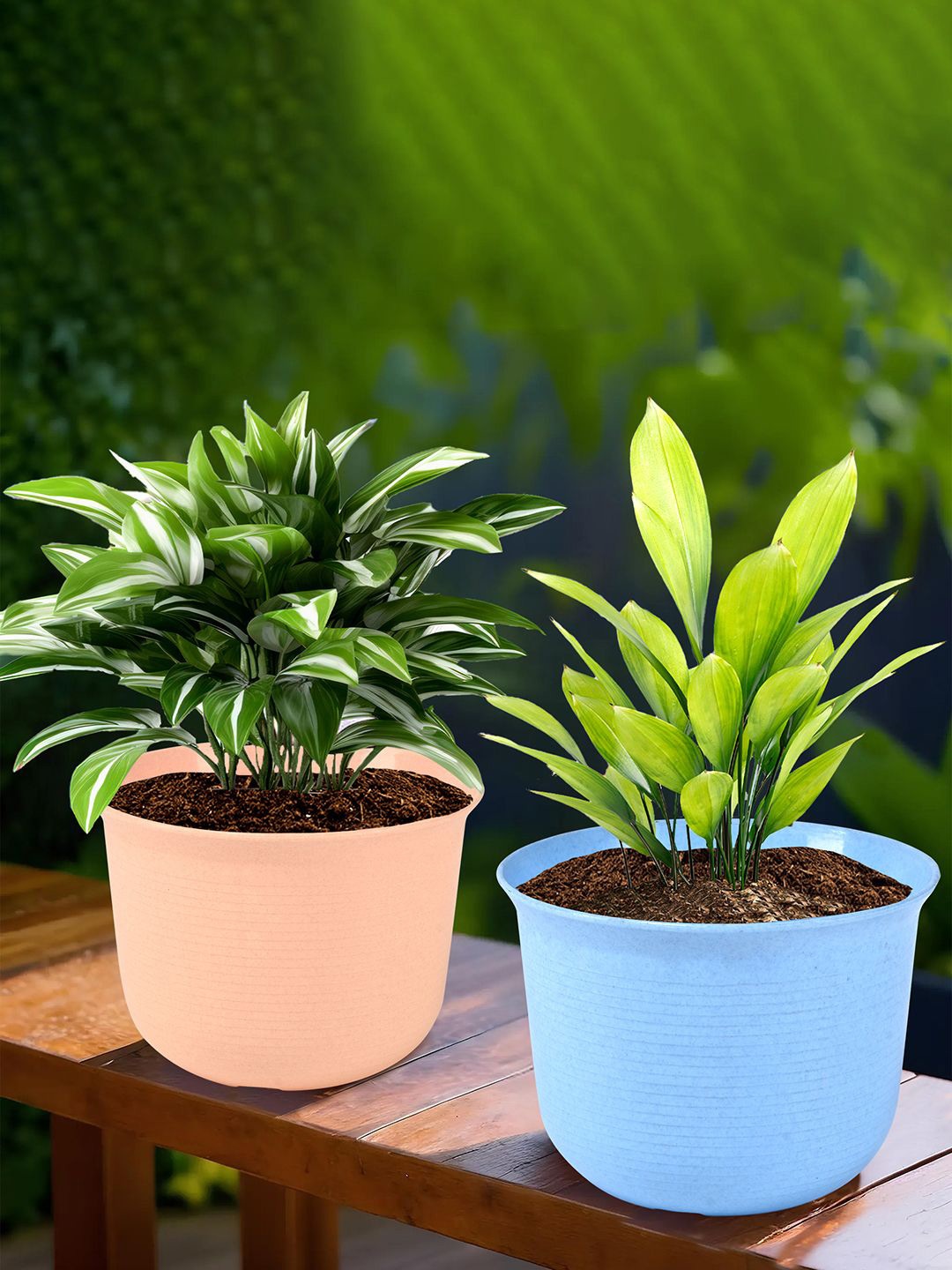 

Kuber Industries Blue & Peach 2 Pieces Textured Sawera Flower Pot With Plate