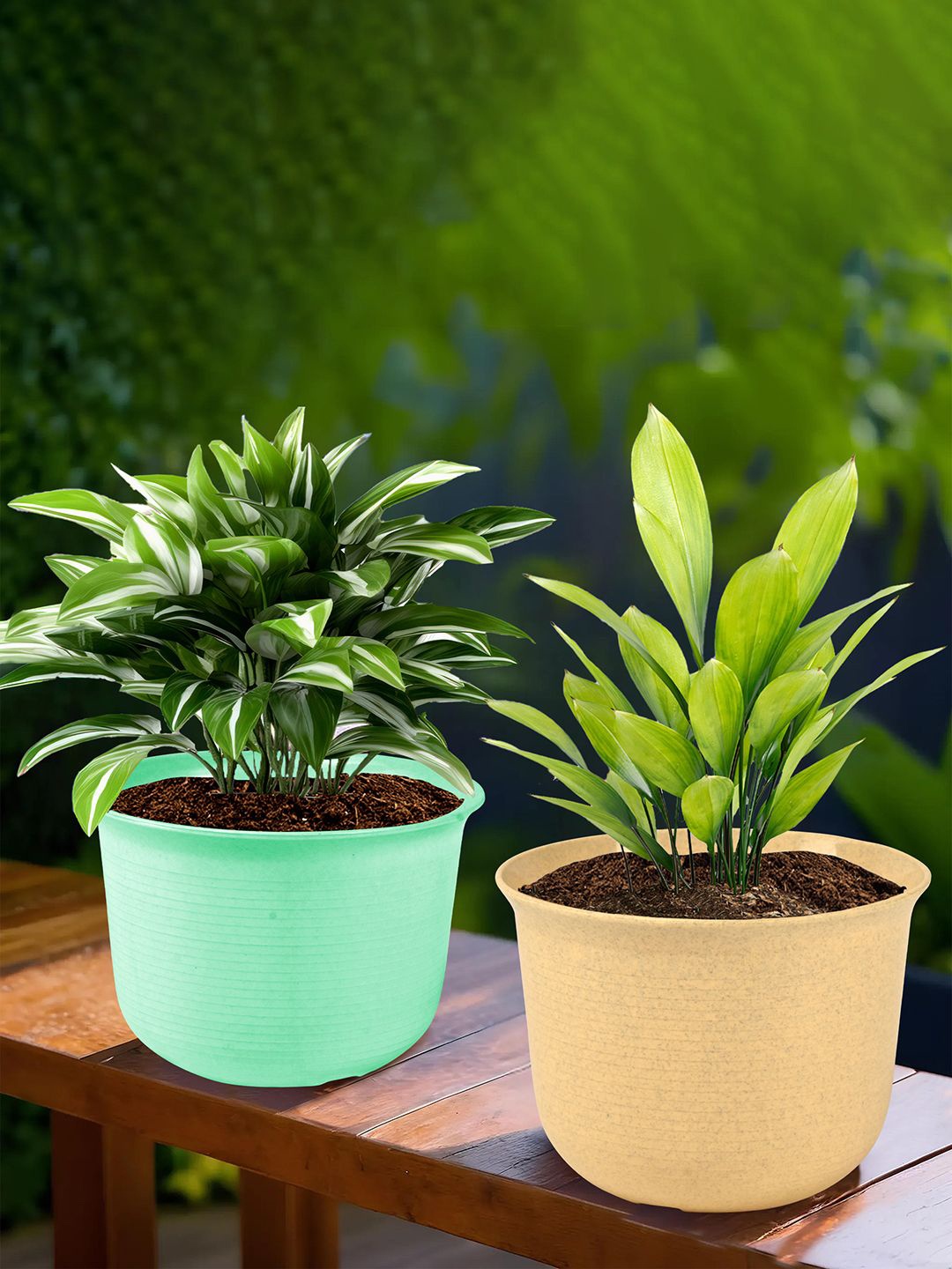 

Kuber Industries Beige & Green 2 Pieces Textured Sawera Planters With Pot