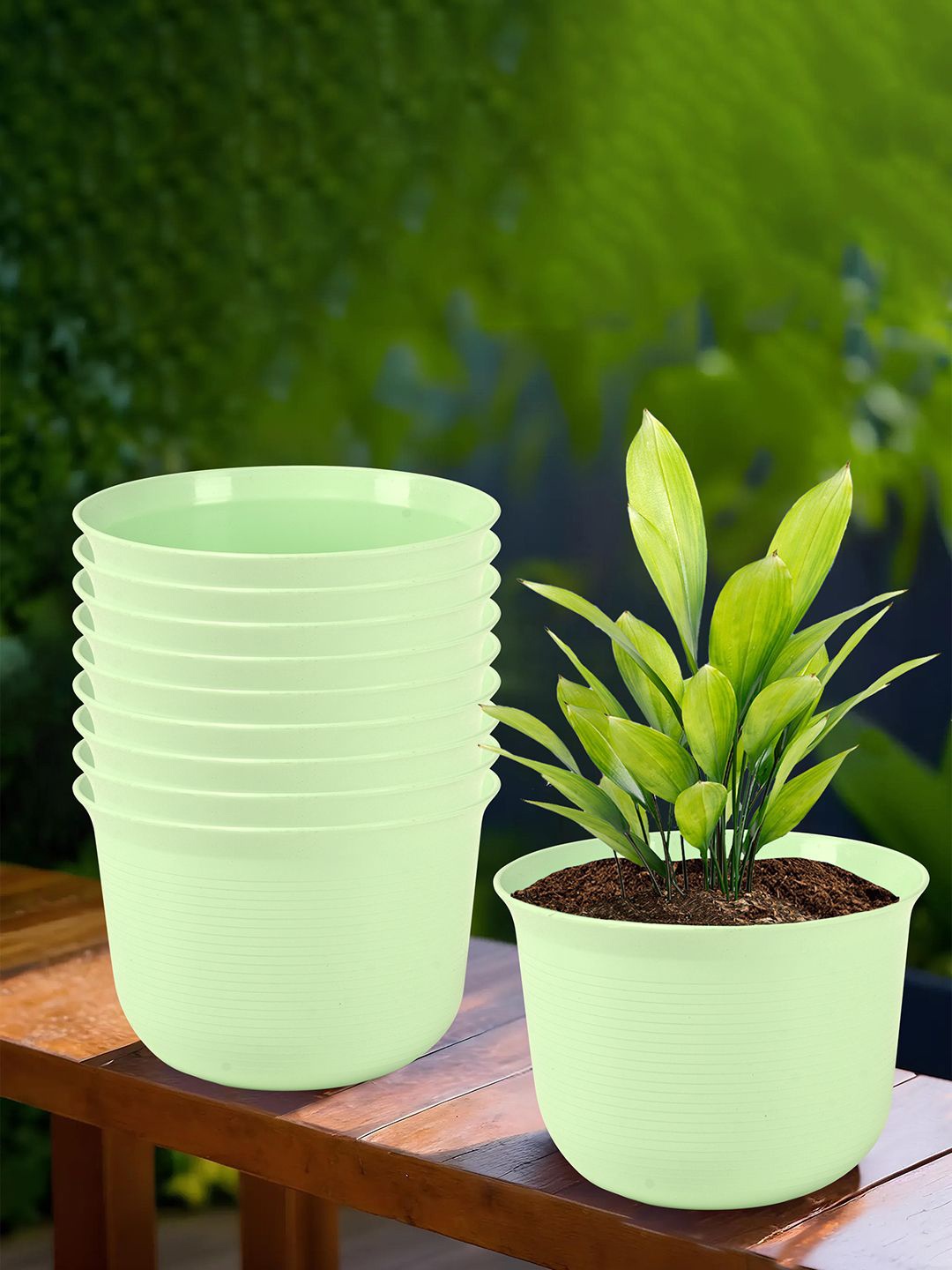 

Kuber Industries Light Green 10-Pcs Striped Pot With Plate