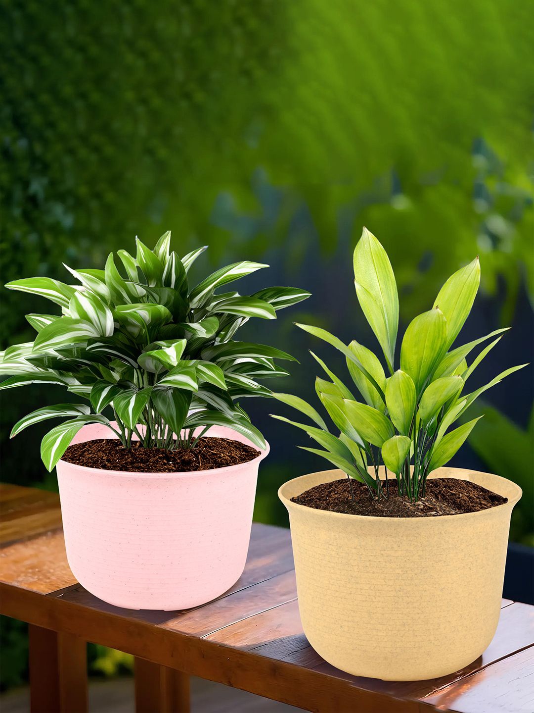 

Kuber Industries Pink & Beige 2 Pieces Textured Planters With Plate