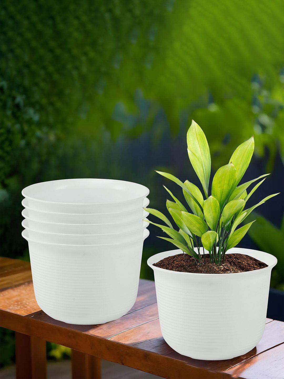 

Kuber Industries White 6 Pieces Sawera Planters With Plate