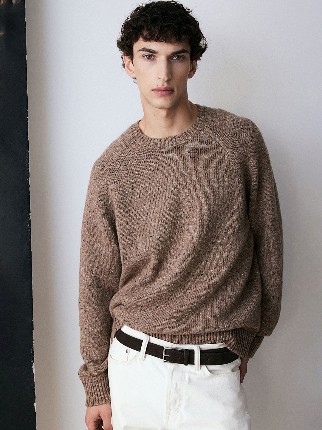 

H&M Men Regular-Fit Jumper, Brown
