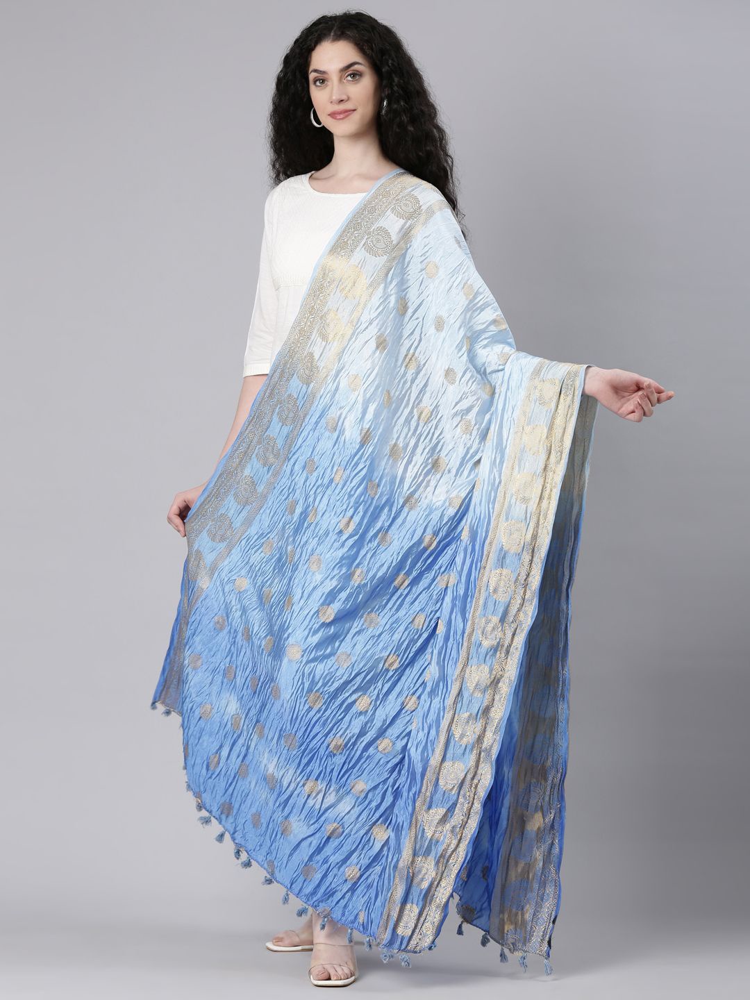 

Souchii Ethnic Motifs Foil Printed Silk Dupatta, Blue