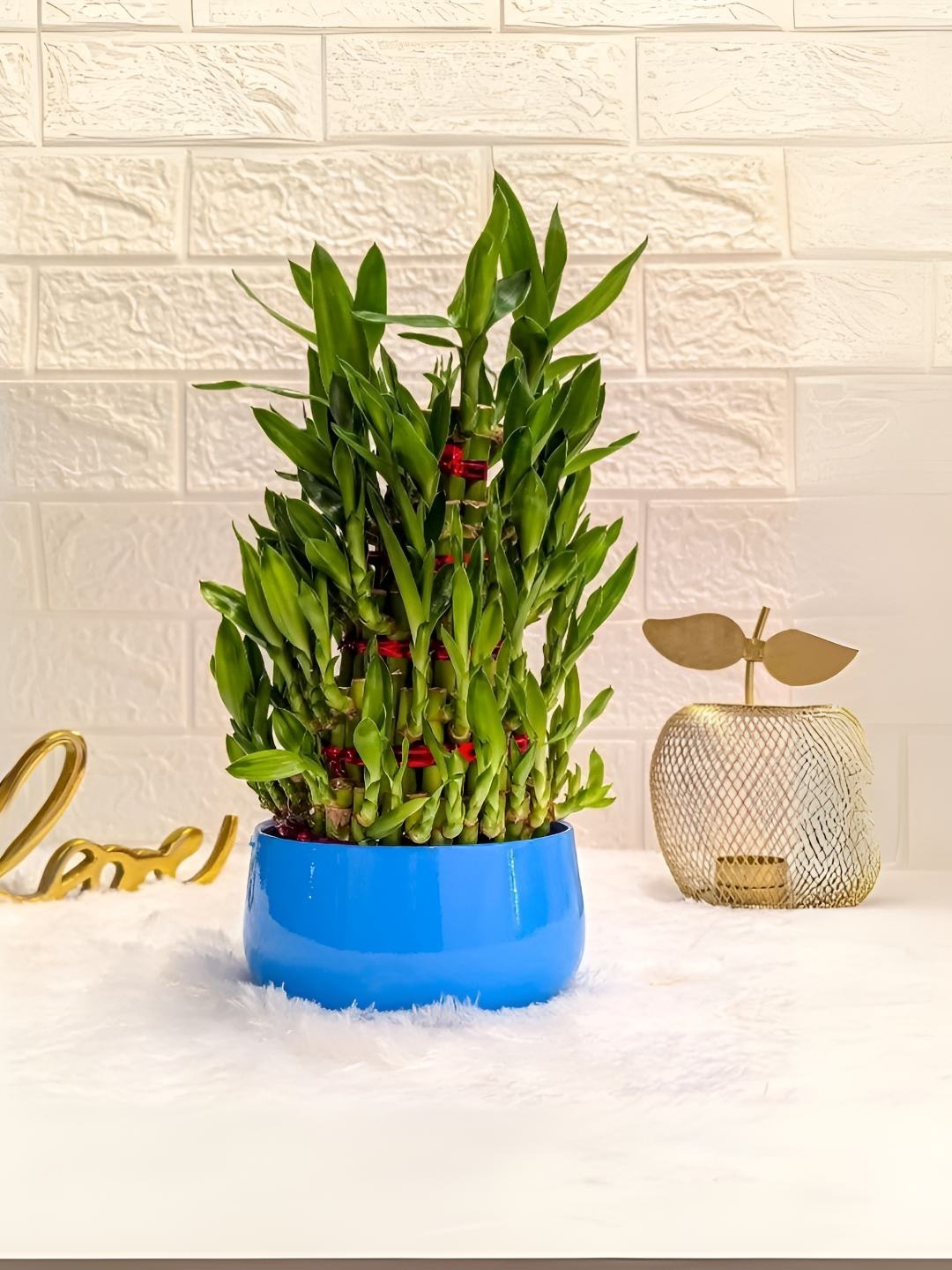 

Floral Boutique Green & Blue Indoor 5 Layer Bamboo Plant With Pot