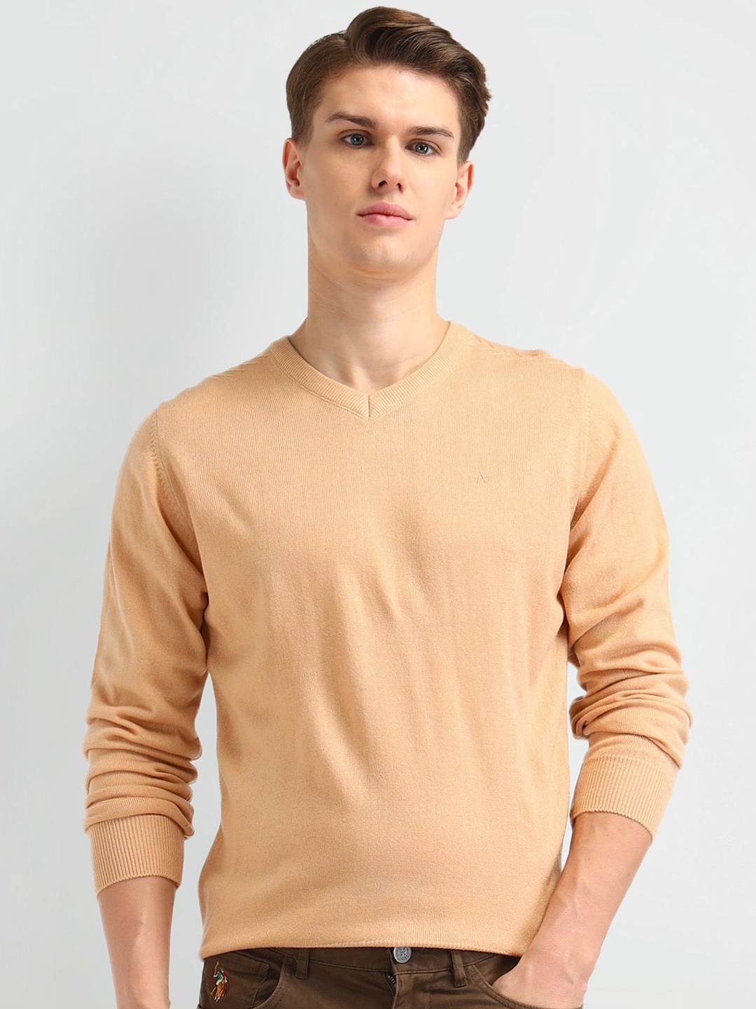 

Arrow Men Cotton Pullover Sweaters, Beige