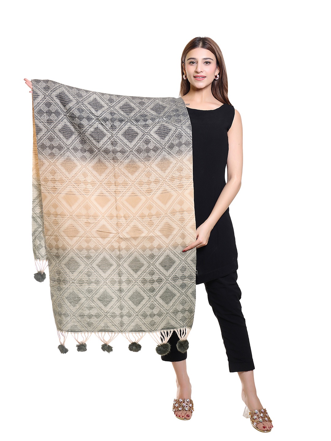 

Oswal International Women Ethnic Motifs Woven Design Acrylic Shawl, Cream