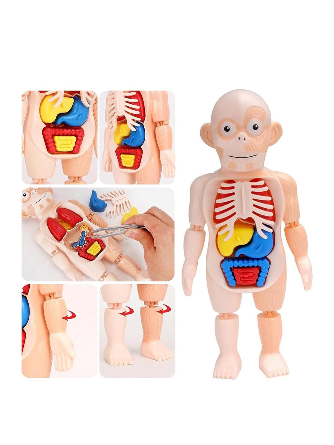 

Kidology Kids BPA Free Skill Development Toy Learning and Development Toys, Beige