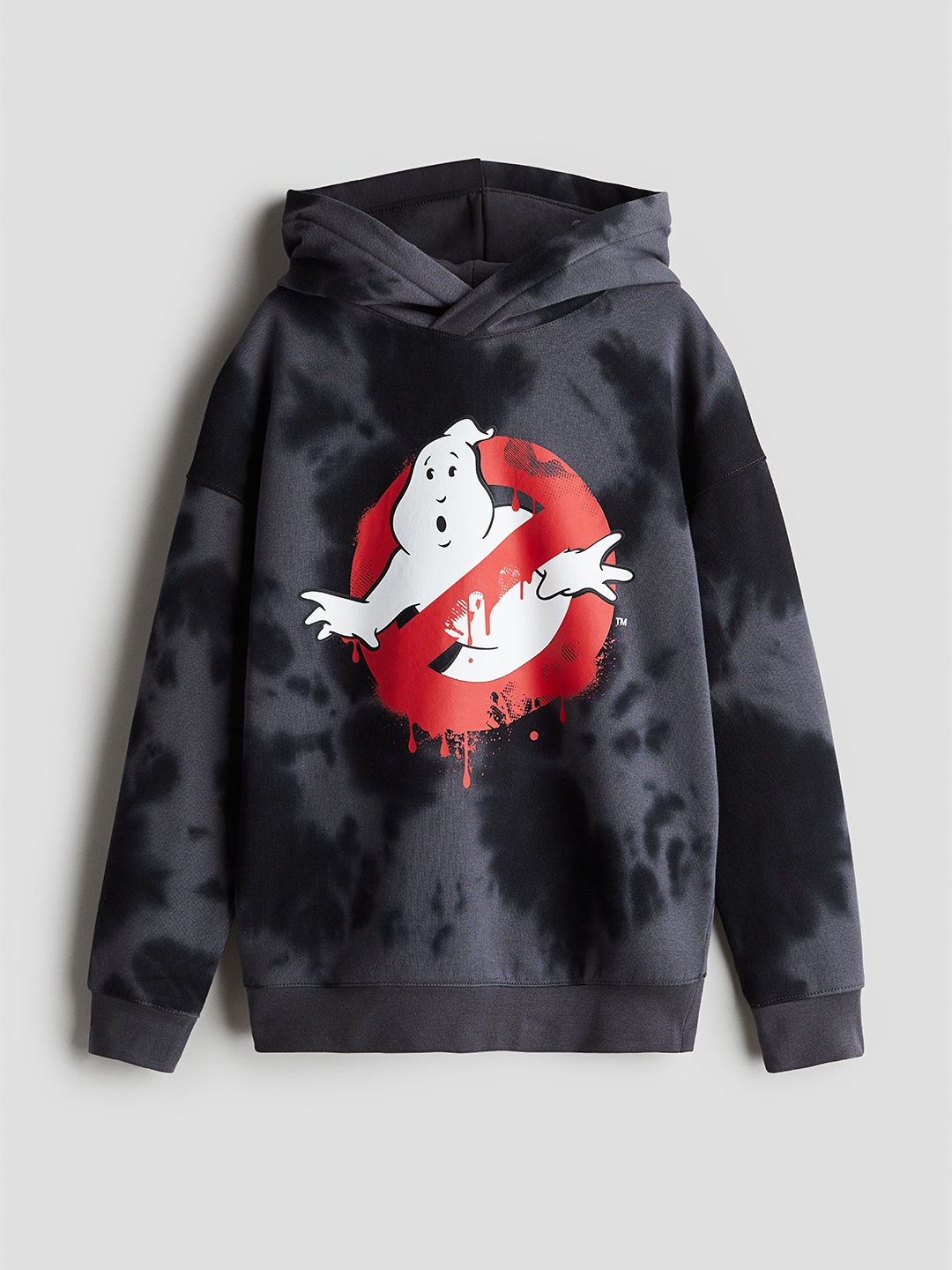 

H&M Boys Motif-Detail Hoodie, Grey