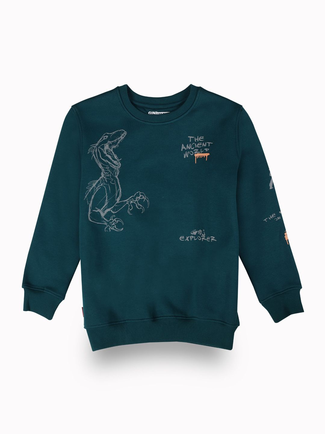 

Gini and Jony Boys Cotton Graphic Printed Pullover Sweatshirt, Teal