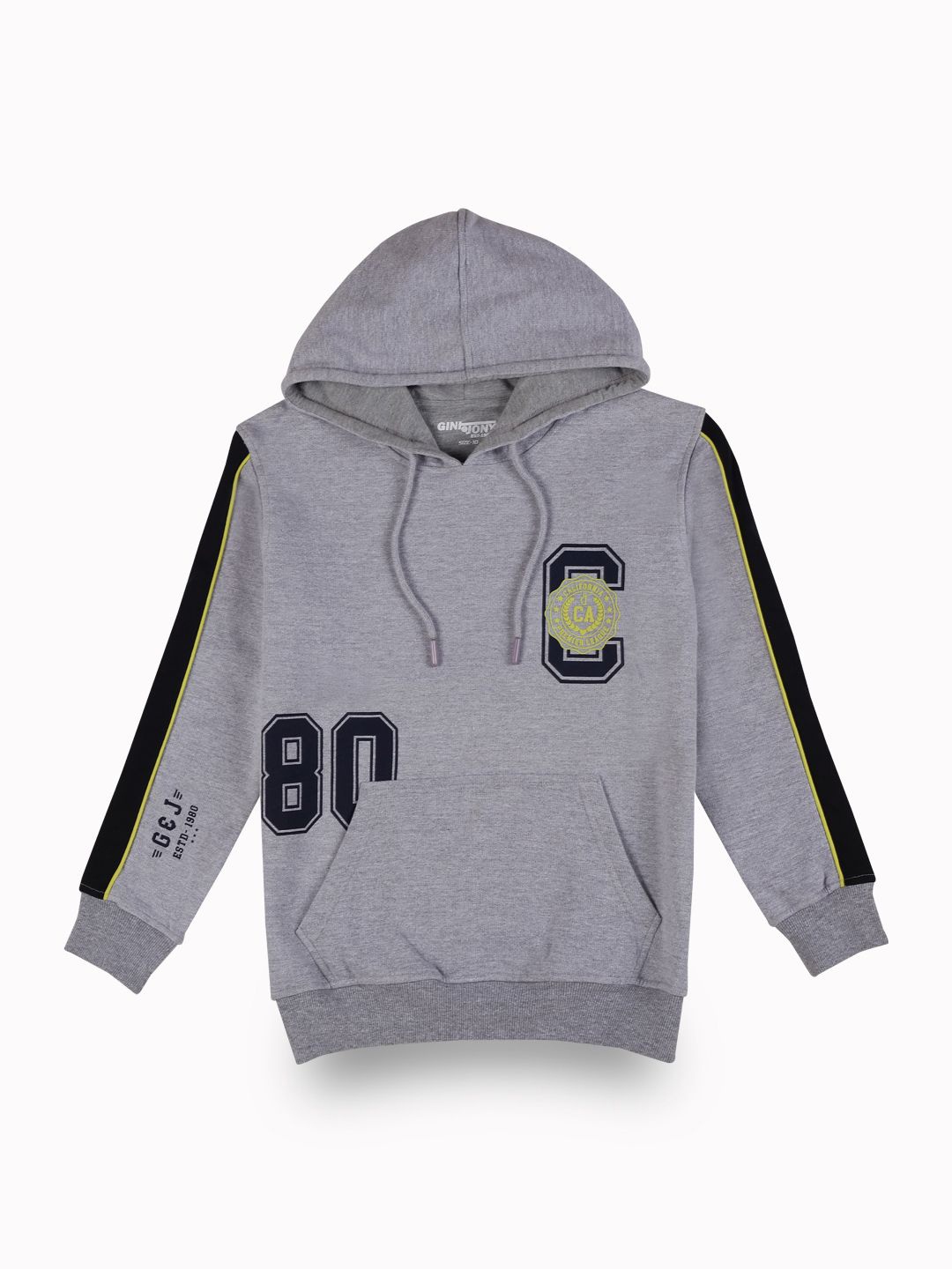 

Gini and Jony Boys Printed Hooded Sweatshirt, Grey