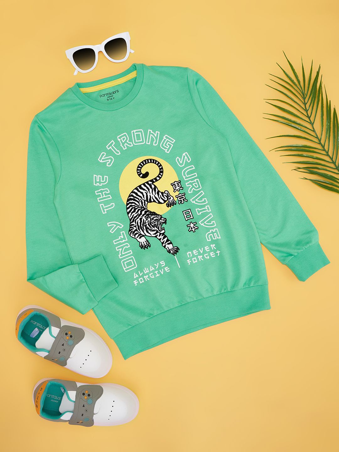 

Pantaloons Junior Boys Cotton Printed Pullover Sweatshirt, Green