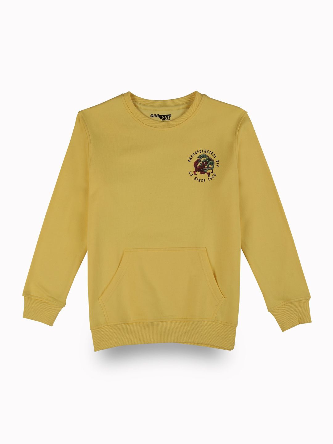 

Gini and Jony Boys Yellow Round neck Long Sleeves Printed CottonSweatshirt