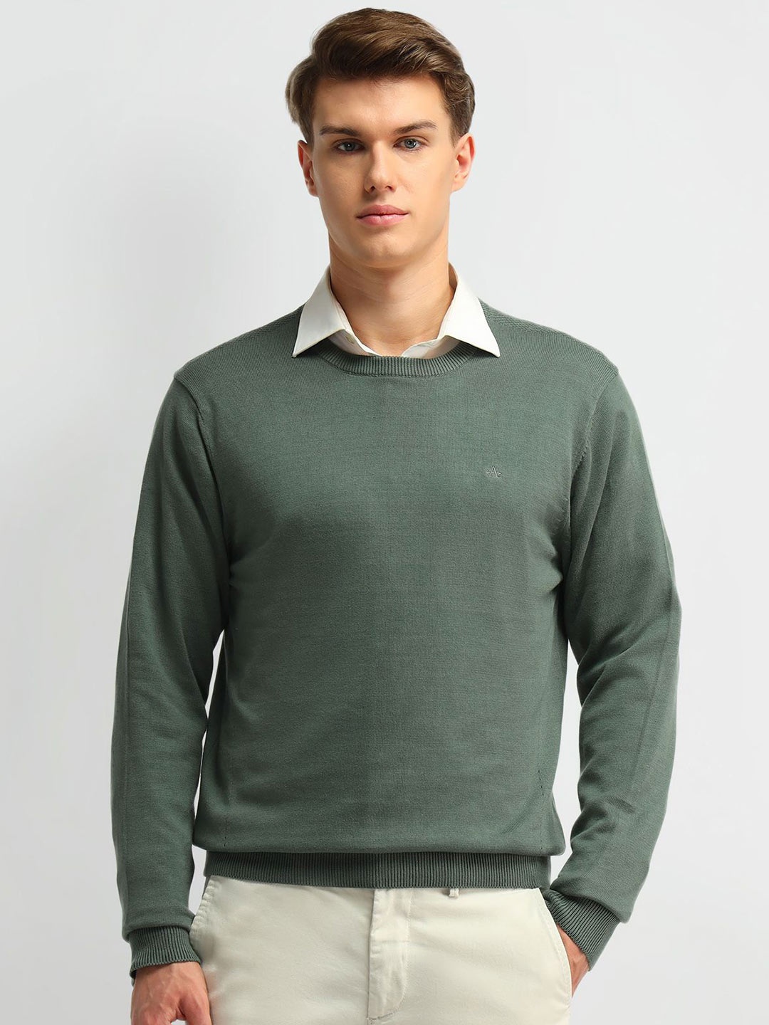 

Arrow Men Green Round neck Full Sleeves Pullover