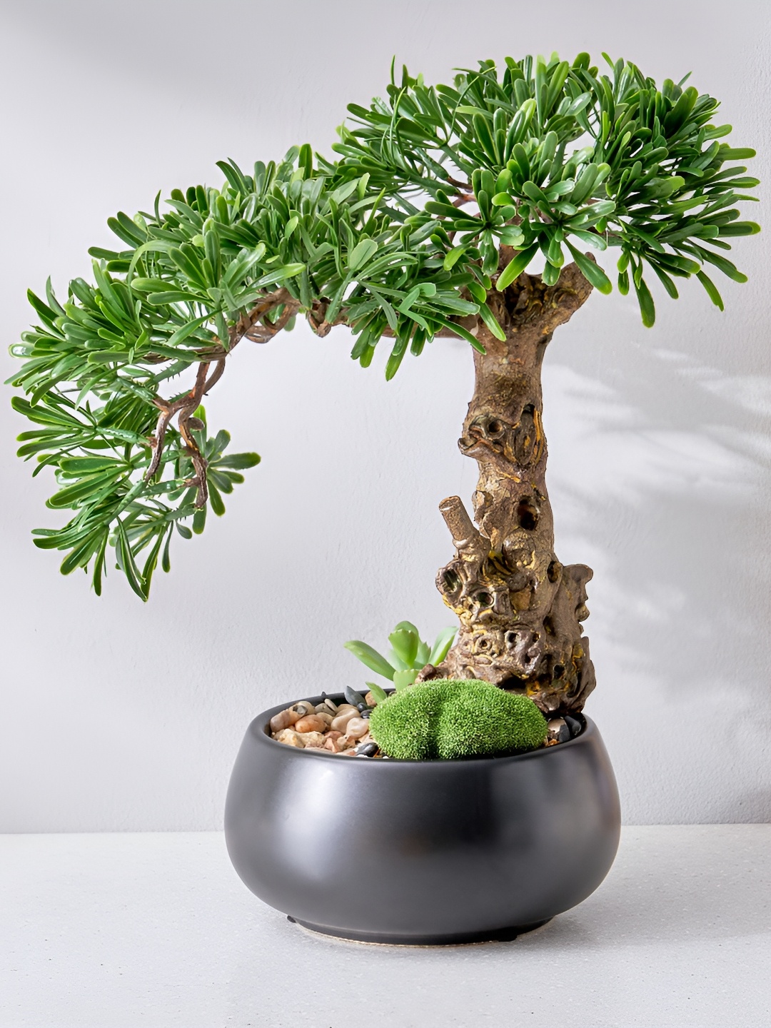 

Home Centre Gloria Acacia Green Bonsai Artificial Plant With Ceramic Pot