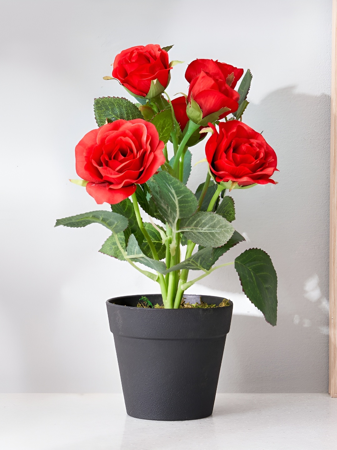 

Home Centre Corsica Red Rose Artificial Plant With Pot