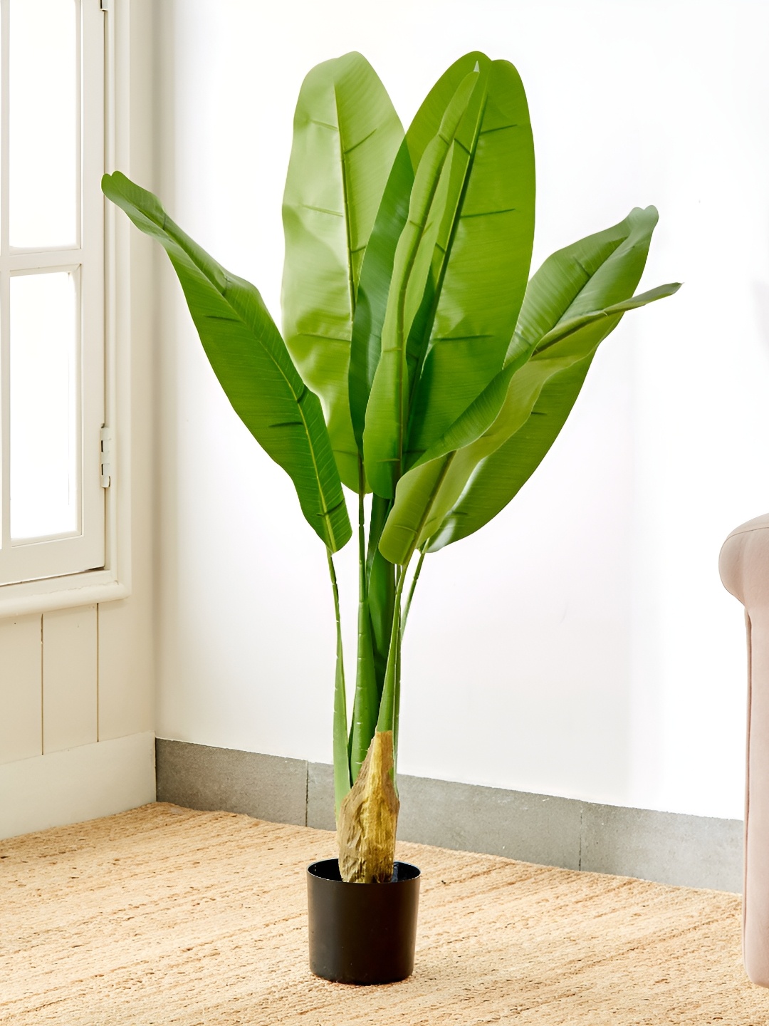 

Home Centre Gardenia Green Banana Tree in Polypropylene Pot