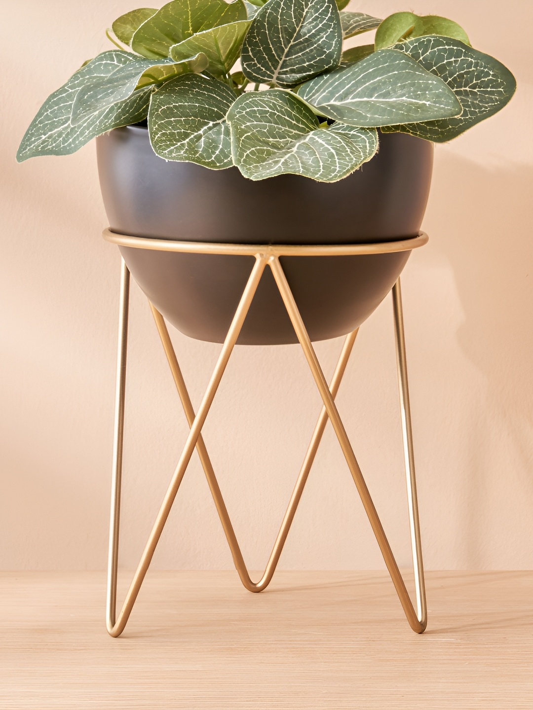 

Home Centre Gloria Black & Gold-Toned Planter with Metal Stand