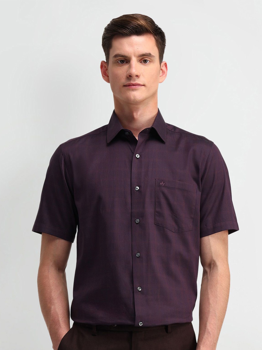 

Arrow Men Classic Spread Collar Textured Cotton Formal Shirt, Purple