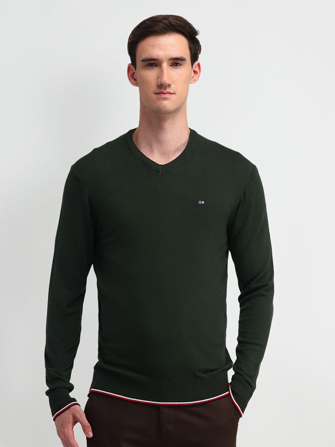 

Arrow Sport Men V-Neck Cotton Pullover Sweaters, Olive