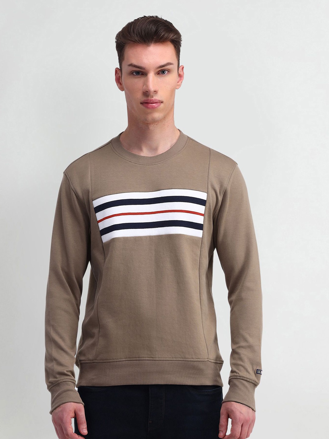 

Arrow Sport Men Striped Sweatshirt, Beige