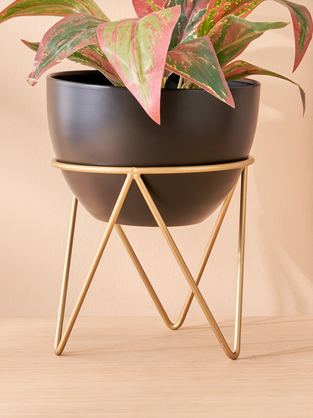 

Home Centre Gloria Black & Gold-Toned Planter with Metal Stand