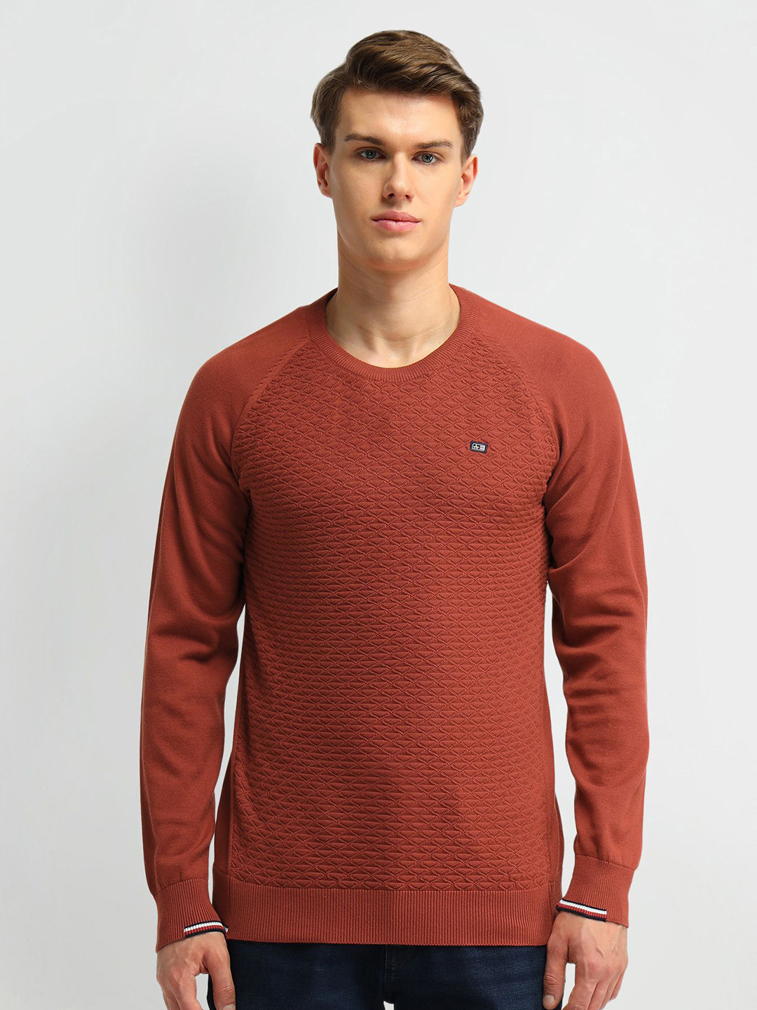 

Arrow Sport Men Self Design Long Sleeves Pullover Sweaters, Rust