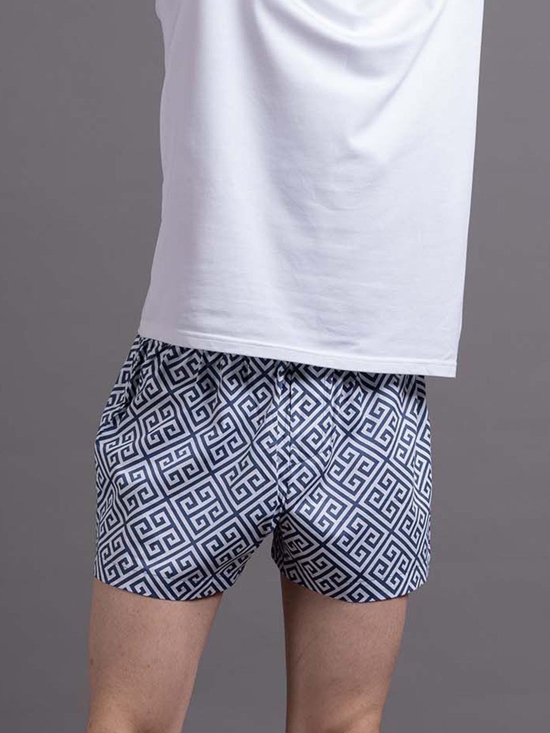 

ARISTOBRAT Printed Cotton Boxers ARPL-103-BX25A-SEP24-S, White