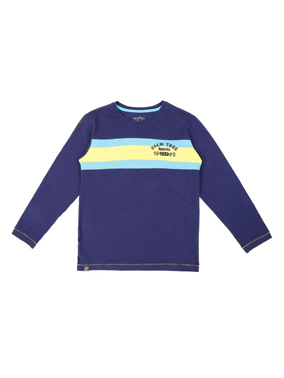 

Palm Tree Boys Colourblocked Round Neck Cotton T-shirt, Blue
