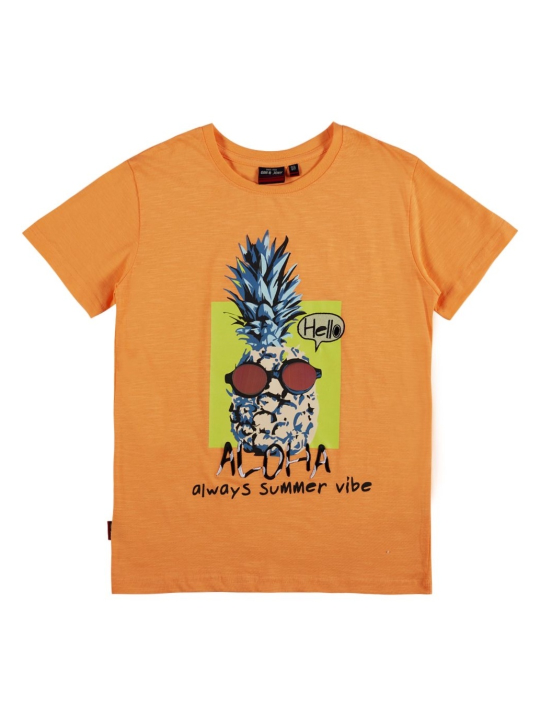 

Gini and Jony Boys Graphic Printed Round Neck Cotton T-shirt, Orange