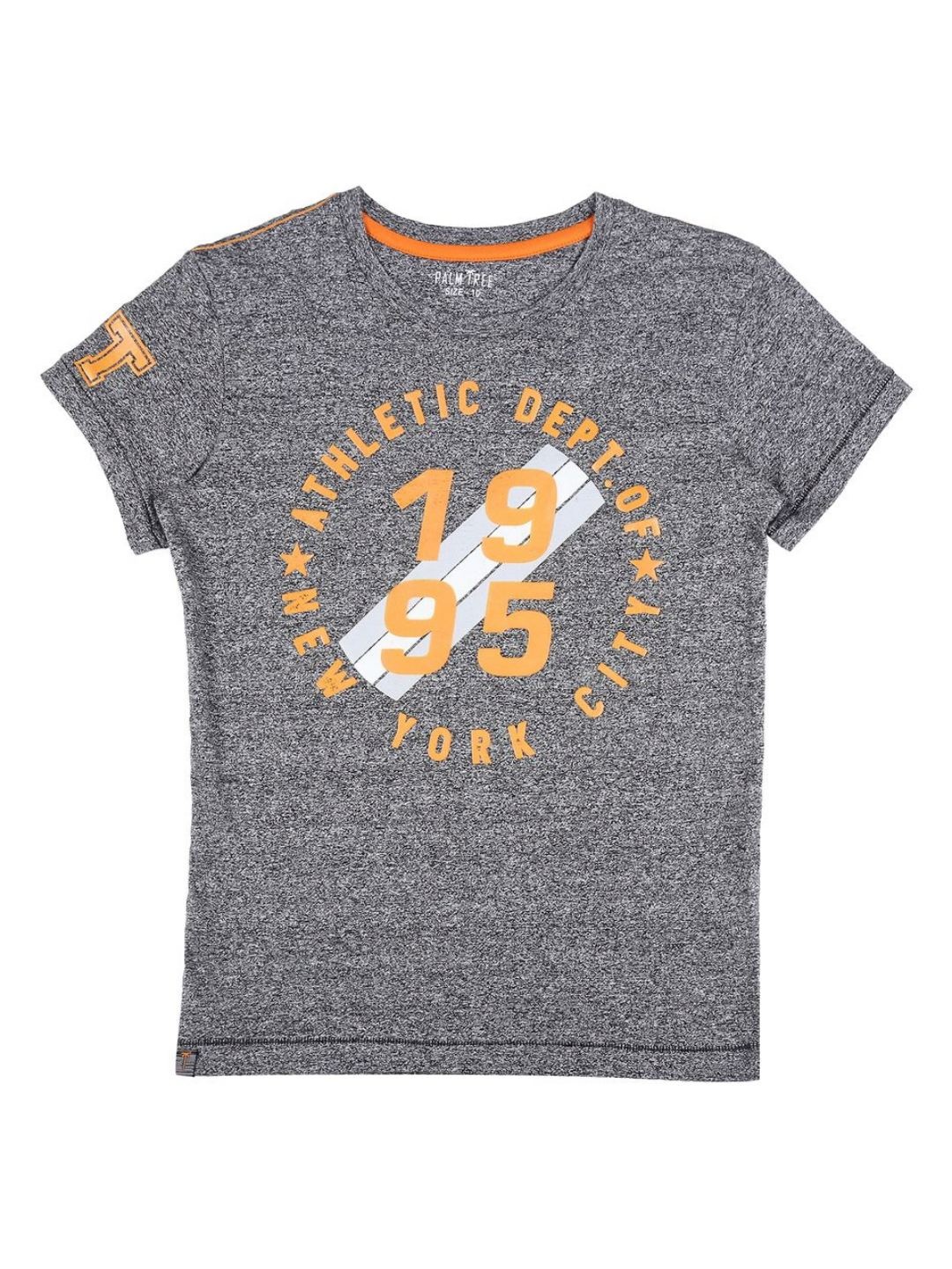 

Palm Tree Boys Graphic Printed Round Neck Cotton T-Shirt, Grey