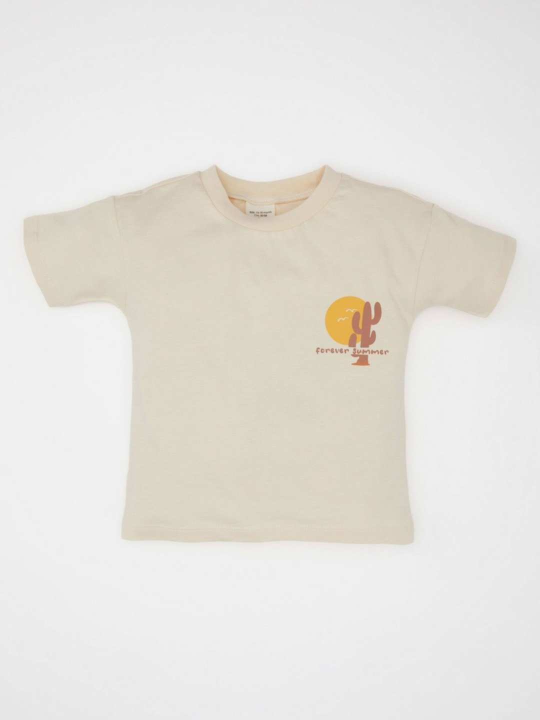

DeFacto Boys Graphic Printed Round Neck Cotton T-shirt, Na