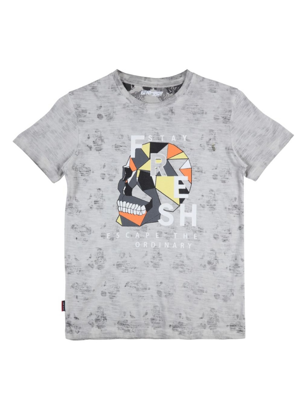 

Gini and Jony Boys Dry Fit Graphic Printed Round Neck Cotton T-shirt, Grey