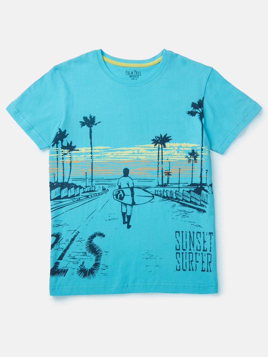 

Palm Tree Boys Graphic Printed Round Neck Cotton T-Shirt, Blue