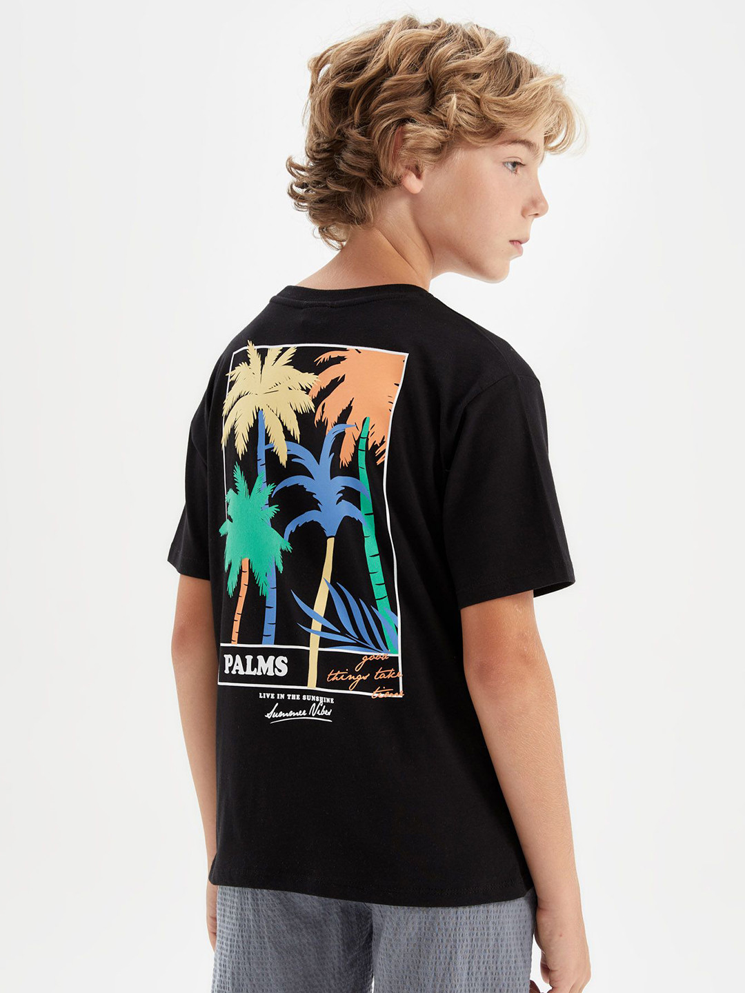 

DeFacto Boys Cotton Round Neck T-shirt, Blue
