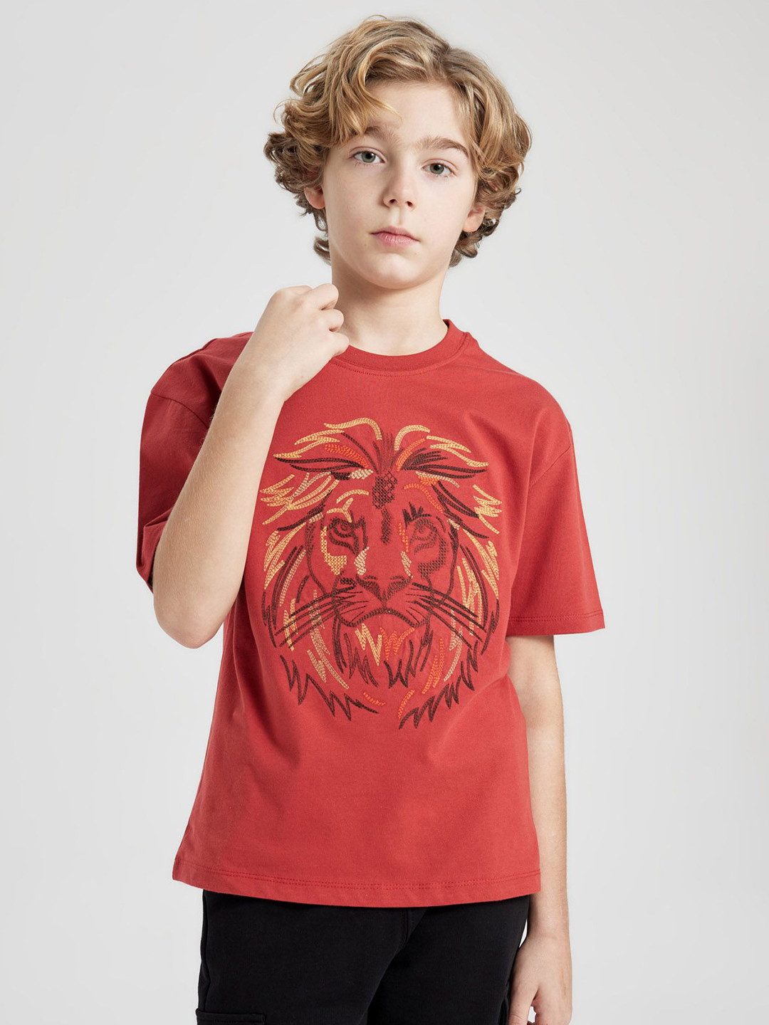 

DeFacto Boys Graphic Printed Round Neck Cotton T-shirt, Red