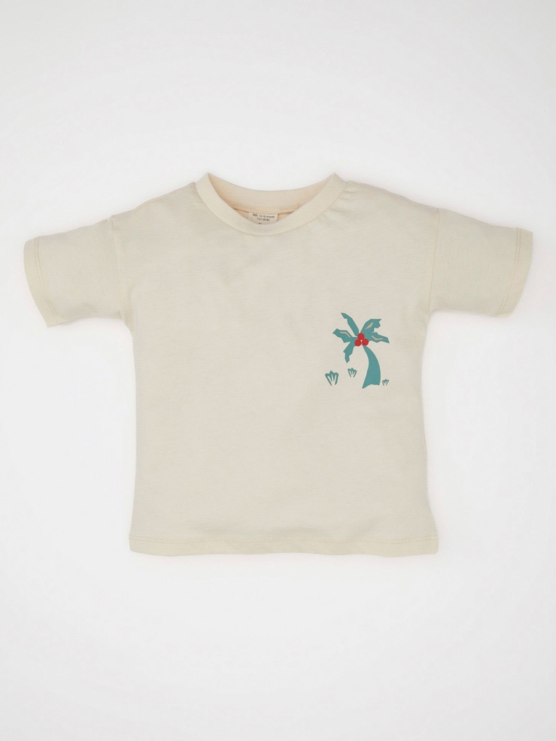 

DeFacto Boys Graphic Printed Round Neck Cotton T-shirt, Cream