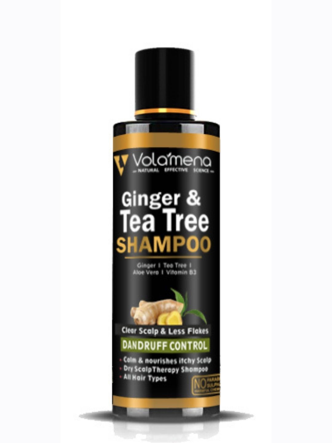

Volamena Ginger & Tea Tree Shampoo For Dandruff Control-100ml, Off white