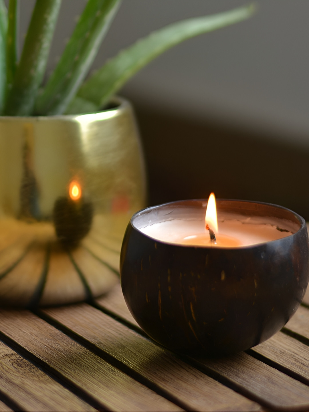 

Ecotyl Brown & White Scented Coconut Shell Candle
