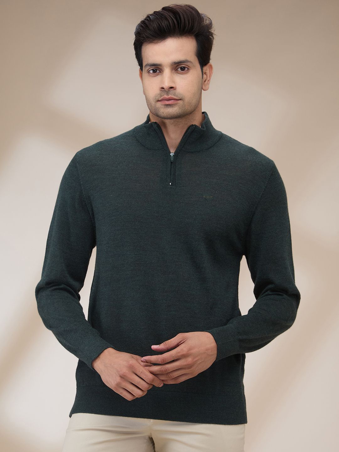 

ColorPlus Men Mock Collar Woollen Pullover, Green