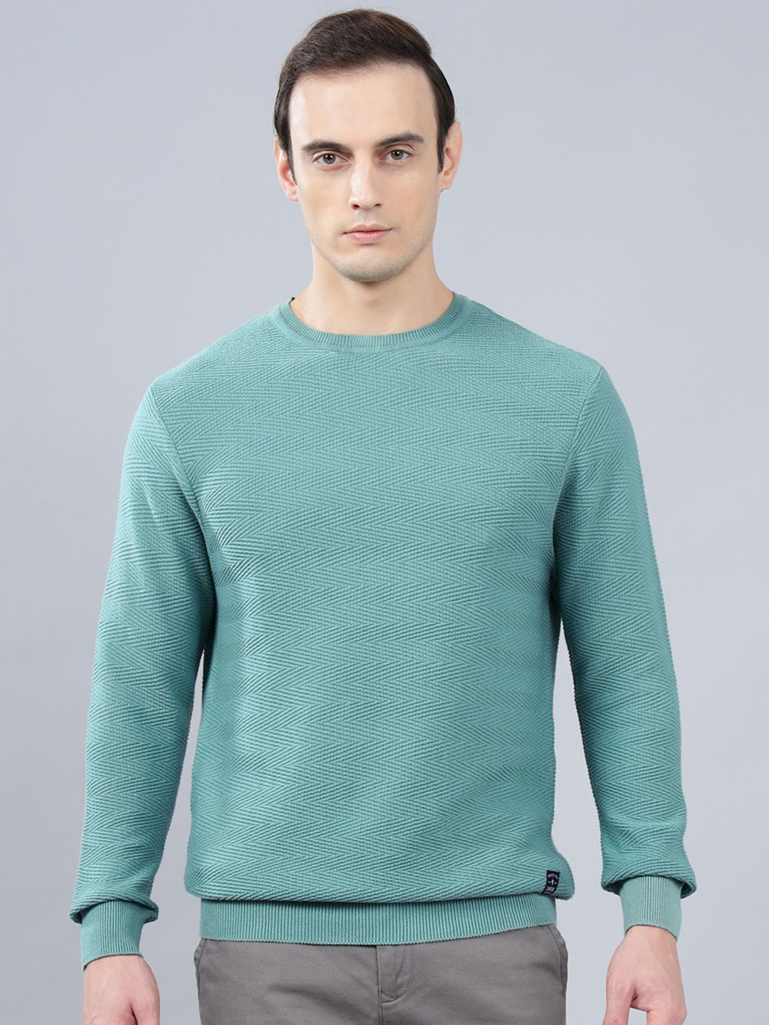 

Cantabil Men Cotton Round Neck Pullover, Sea green