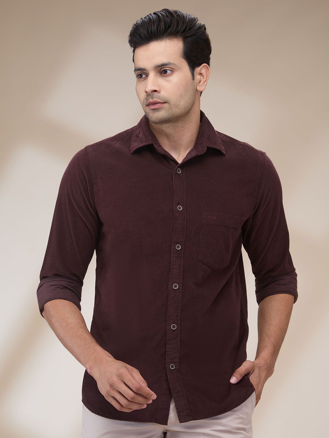 

ColorPlus Men Opaque Casual Shirt, Brown