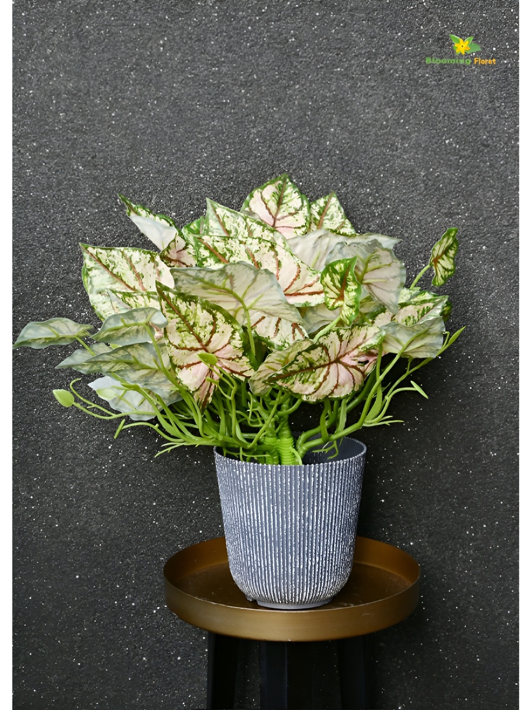 

Blooming Floret Green & Grey Codiacum Artificial Plant With Pot
