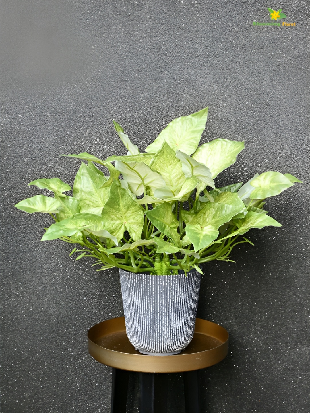 

Blooming Floret Green & Grey Codiacum Artificial Plant With Pot