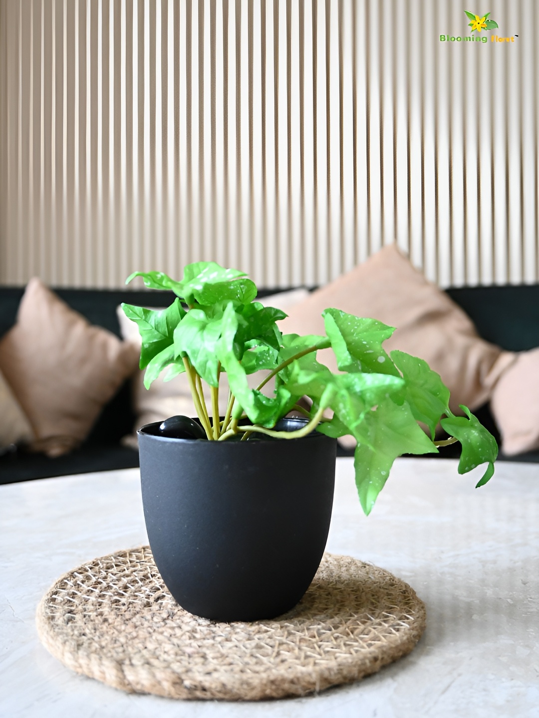 

Blooming Floret Green & Black Ivy Faux Artificial Plant With Pot